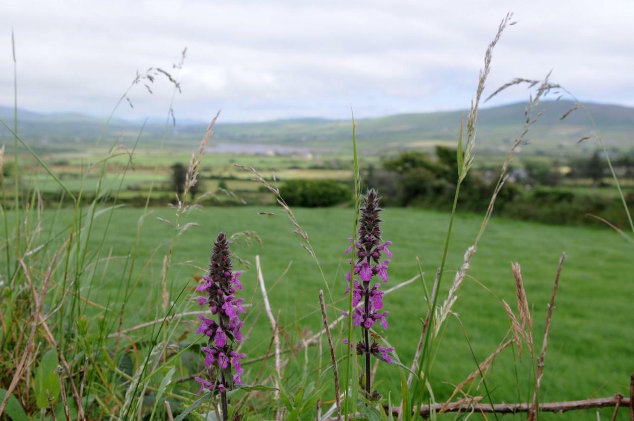 Short Strand Dingle Exterior foto